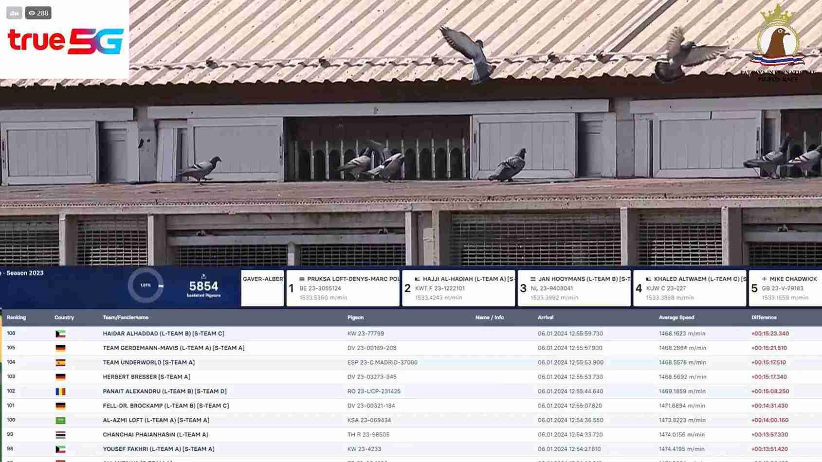 นกพิราบทีมไทยผงาดคว้าแชมป์การแข่งขัน “นกพิราบแข่งนานาชาติพัทยา ครั้งที่ 8”