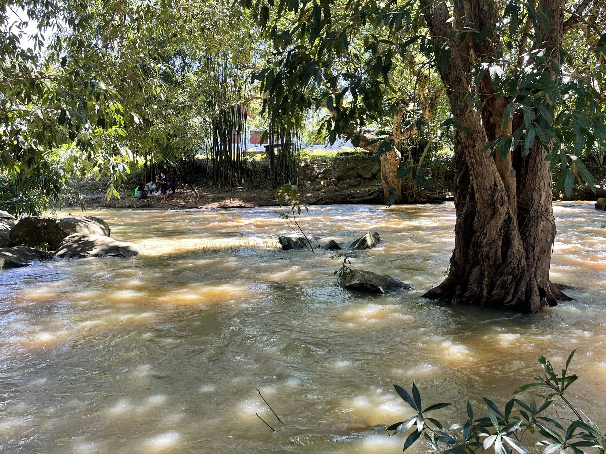 ที่เที่ยววังน้ำเขียว ‘น้ำตกธารท่าลี่ ’ สวยงามชุ่มฉ่ำรับปลายฝนต้นหนาว