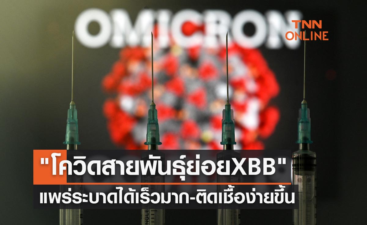 จับตา "โควิดสายพันธุ์ย่อย XBB" แพร่ระบาดได้เร็วมาก-ติดเชื้อง่ายขึ้น