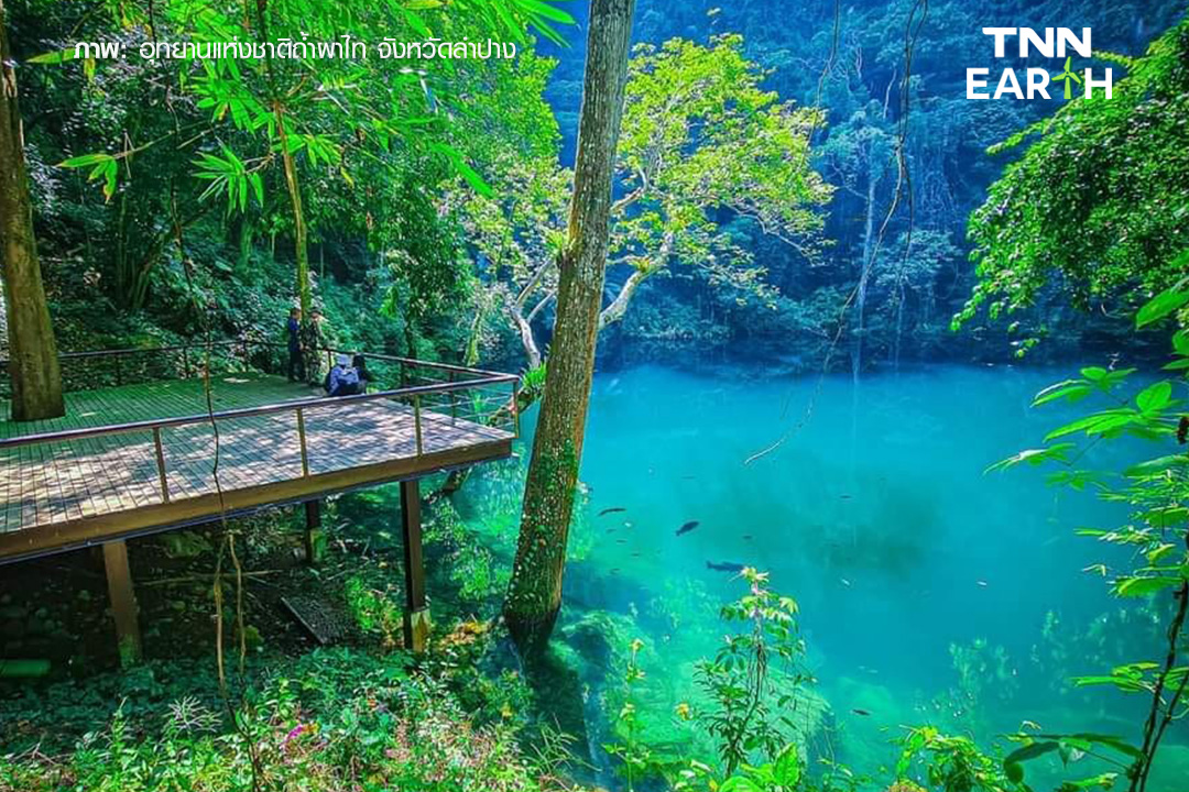 “หล่มภูเขียว” สถานที่ท่องเที่ยวลำปาง กับบ่อน้ำมหัศจรรย์กลางป่าใหญ่ “หล่มภูเขียว” สถานที่ท่องเที่ยวลำปาง กับบ่อน้ำมหัศจรรย์กลางป่าใหญ่