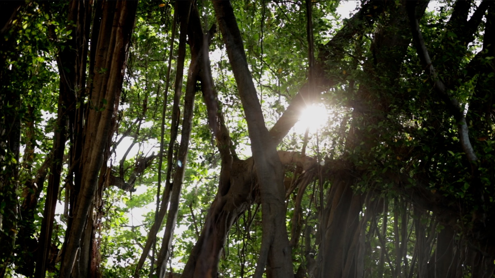 สัมผัสประสบการณ์ Everyone’s Wellness รับปีใหม่ก่อนใคร! ที่ RXV “รักษ วิลเลจ สามพราน” สัมผัสประสบการณ์ Everyone’s Wellness รับปีใหม่ก่อนใคร! ที่ RXV “รักษ วิลเลจ สามพราน”