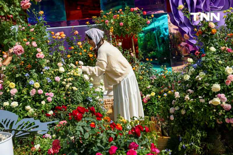 ยลโฉมกุหลาบ 260 สายพันธุ์ เนรมิตสวนกุหลาบใจกลางกรุงเทพ ยลโฉมกุหลาบ 260 สายพันธุ์ เนรมิตสวนกุหลาบใจกลางกรุงเทพ