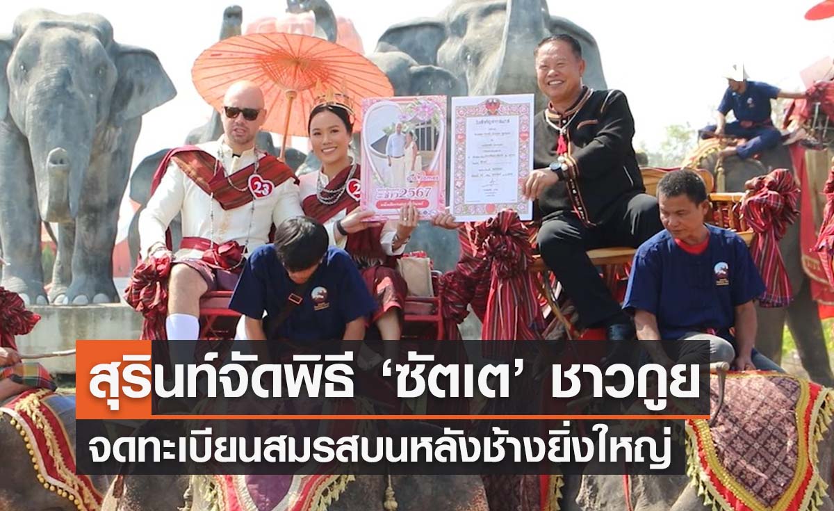 วันวาเลนไทน์ 2567 สุรินทร์จัดงาน ‘จดทะเบียนสมรสบนหลังช้าง’ ยิ่งใหญ่อลังการ
