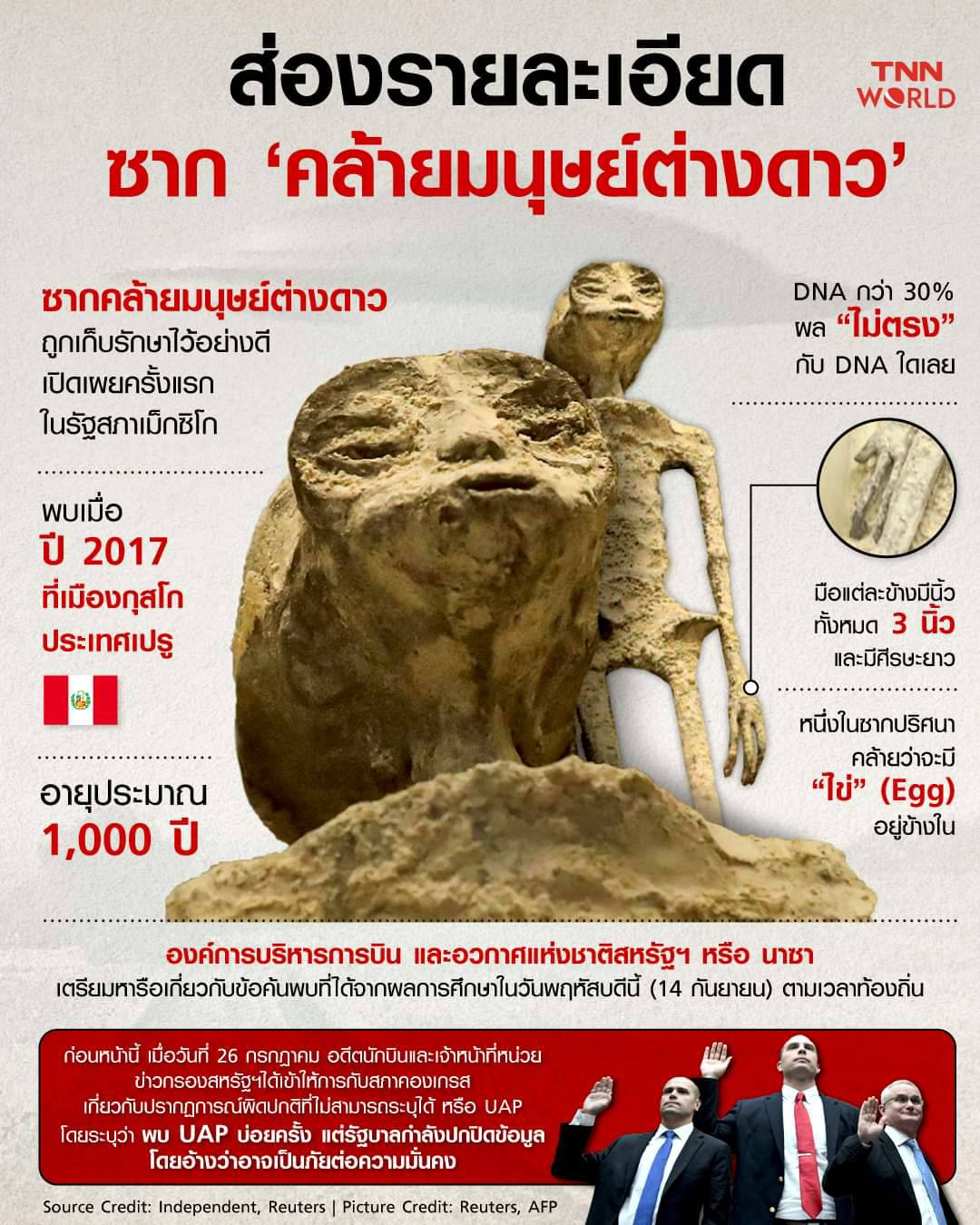 ส่องรายละเอียด ซาก ‘คล้ายมนุษย์ต่างดาว’