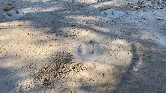 เปิดภาพ รอยเท้าไดโนเสาร์ อายุ 113 ล้านปี โผล่กลางแม่น้ำในเทกซัส!