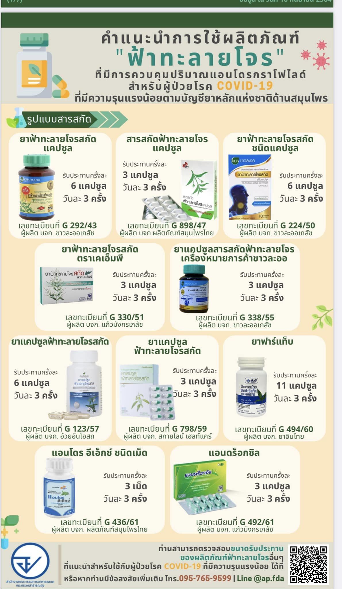 ฟ้าทะลายโจร เมื่อติดโควิดกินอย่างไร แต่ละยี่ห้อต้องกินเท่าไหร่ ฟ้าทะลายโจร เมื่อติดโควิดกินอย่างไร แต่ละยี่ห้อต้องกินเท่าไหร่