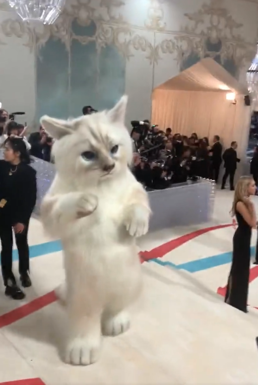 Met Gala 2023 เปิดที่มาชุดแมวของ Jared Leto น่ารักสตอรี่ดี! Met Gala 2023 เปิดที่มาชุดแมวของ Jared Leto น่ารักสตอรี่ดี!