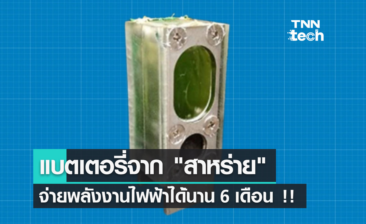 แบตเตอรี่จาก "สาหร่าย" จ่ายพลังงานไฟฟ้าได้นานถึง 6 เดือน !!