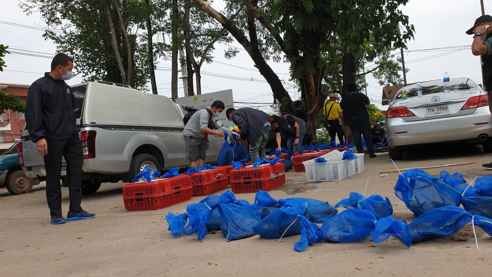 จับขบวนการค้าลิงป่าข้ามชาติ-ส่งขายเมนูเปิบพิสดาร จับขบวนการค้าลิงป่าข้ามชาติ-ส่งขายเมนูเปิบพิสดาร