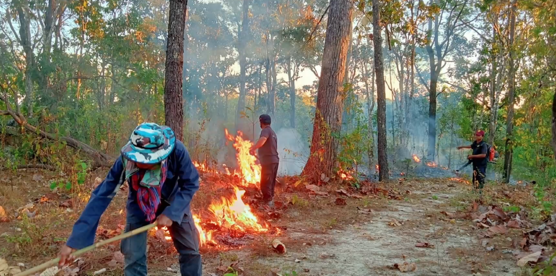 ฝุ่น PM 2.5 เชียงใหม่พุ่ง! 3 อำเภอเตือนระดับสีแดง จุดความร้อนลามไม่หยุด ฝุ่น PM 2.5 เชียงใหม่พุ่ง! 3 อำเภอเตือนระดับสีแดง จุดความร้อนลามไม่หยุด