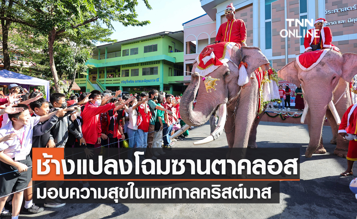 ช้างแปลงโฉมซานตาคลอส มอบความสุขในเทศกาลคริสต์มาส