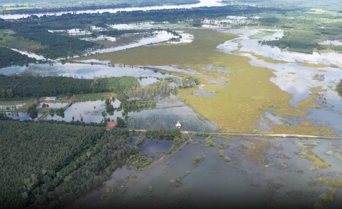 น้ำโขงที่ไหลผ่านเชียงของ จ.เชียงรายยังเพิ่มสูง น้ำโขงที่ไหลผ่านเชียงของ จ.เชียงรายยังเพิ่มสูง