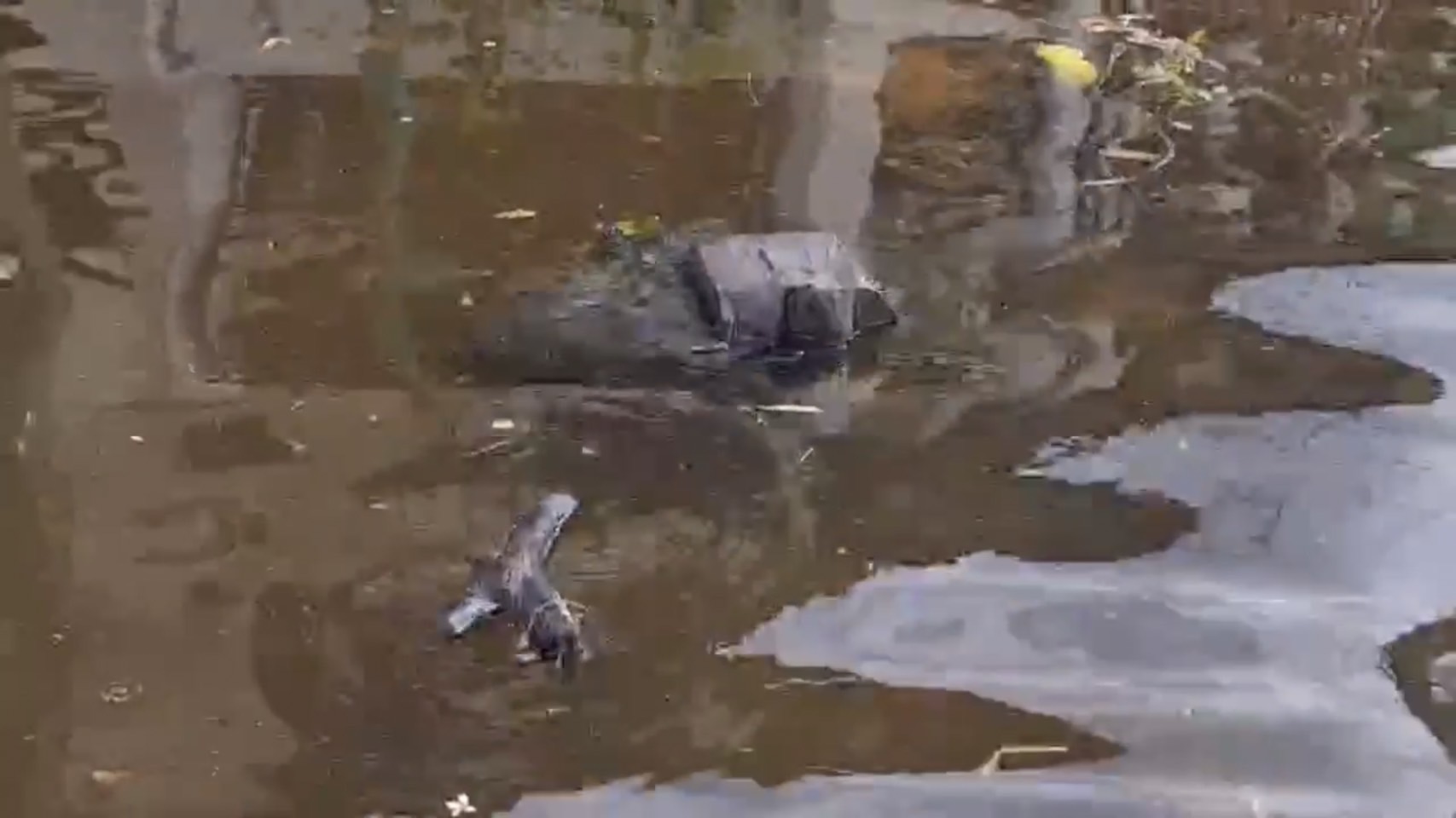 นนทบุรีพบ 3 หมู่บ้านดัง ถูกน้ำท่วม ชาวบ้านเดือดร้อนหนัก