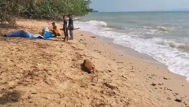 ผู้ว่าฯ ภูเก็ตลงพื้นที่ ‘แหลมหงา’ วางแผนเปิดเส้นทาง พัฒนาแหล่งท่องเที่ยว