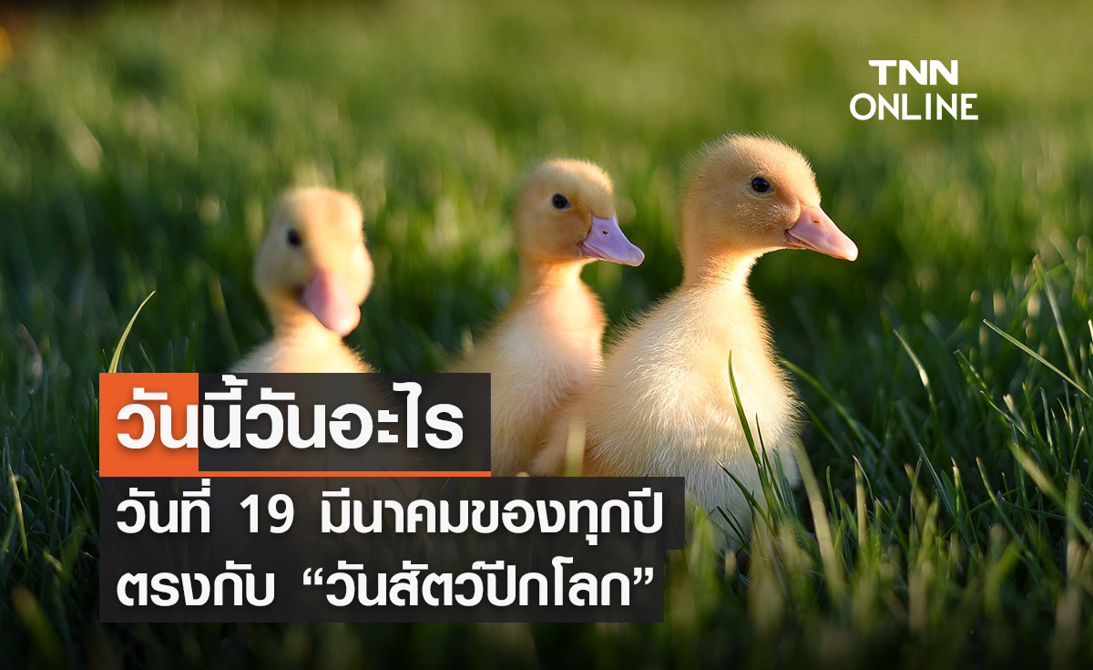 วันนี้วันอะไร วันที่ 19 มีนาคม ของทุกปีตรงกับ "วันสัตว์ปีกโลก"
