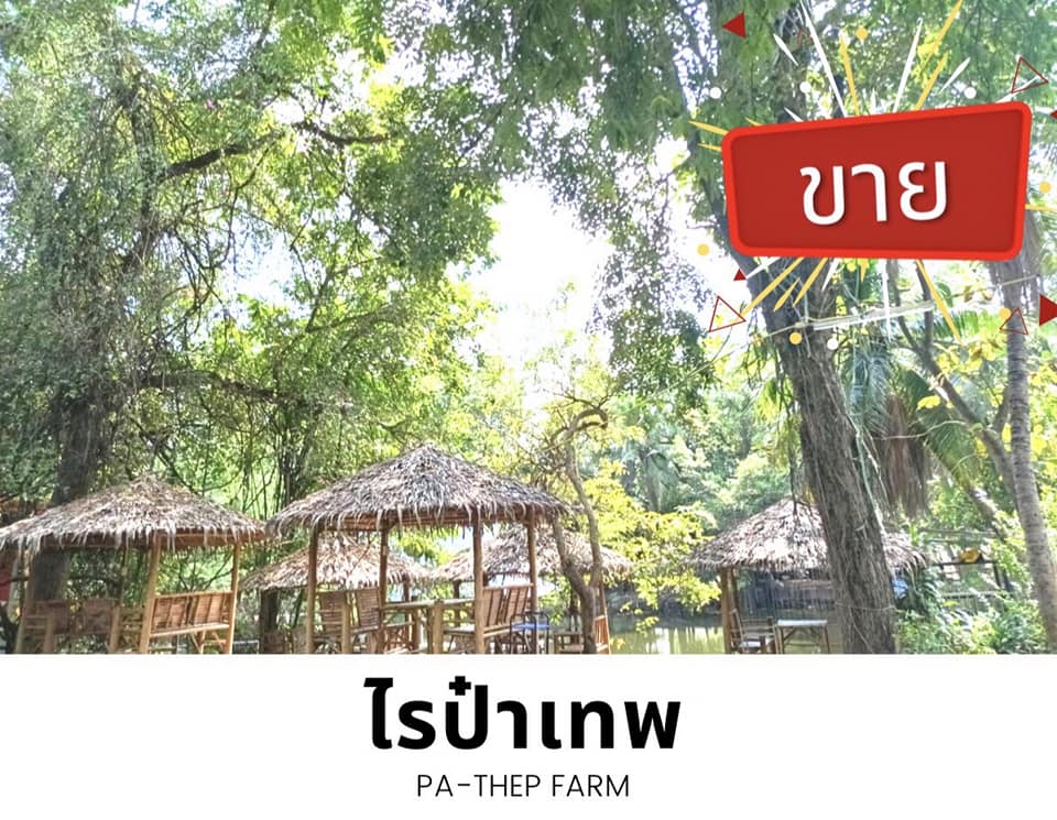 ป๋าเทพ โพธิ์งาม ชี้แจง ไม่ได้ตกอับ หลังประกาศขายทีดิน13 ไร่ ป๋าเทพ โพธิ์งาม ชี้แจง ไม่ได้ตกอับ หลังประกาศขายทีดิน13 ไร่