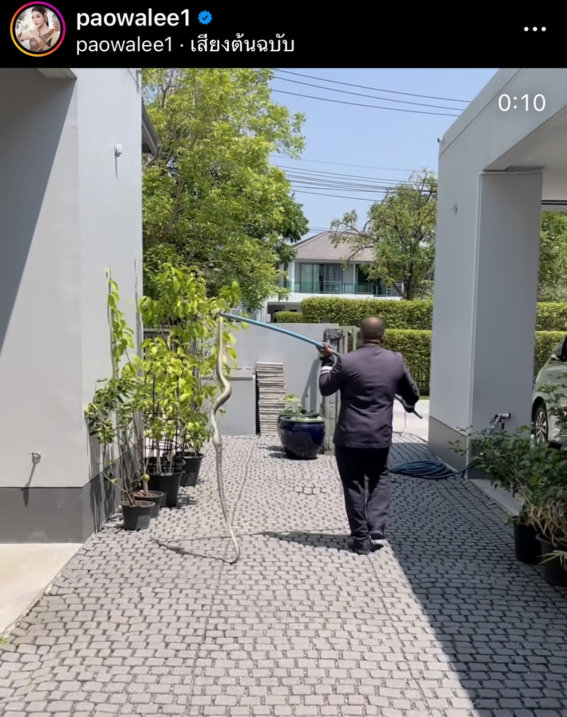 ส่องบ้านเลขที่ด่วน!! หลัง เปาวลี เผยคลิปชวนขนลุก งูบุกบ้าน ส่องบ้านเลขที่ด่วน!! หลัง เปาวลี เผยคลิปชวนขนลุก งูบุกบ้าน