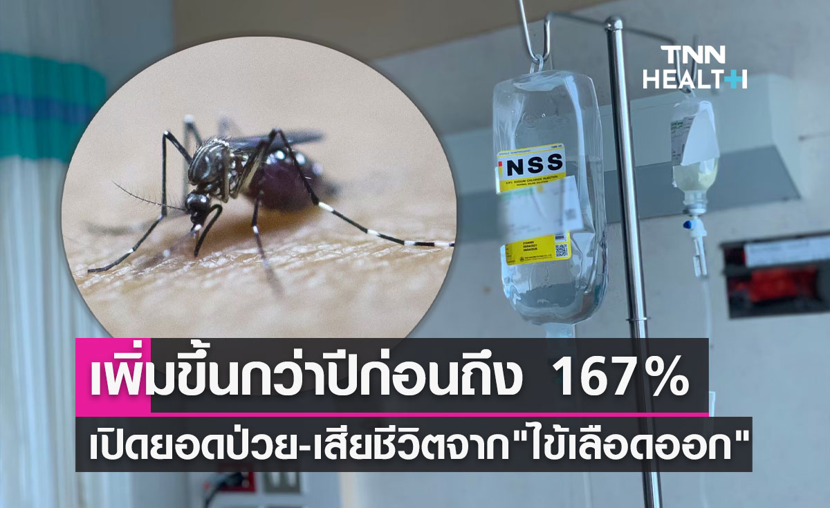 "ไข้เลือดออก"ระบาด! เปิดยอดป่วย-เสียชีวิตล่าสุด สูงกว่าปีที่แล้วถึง 167%