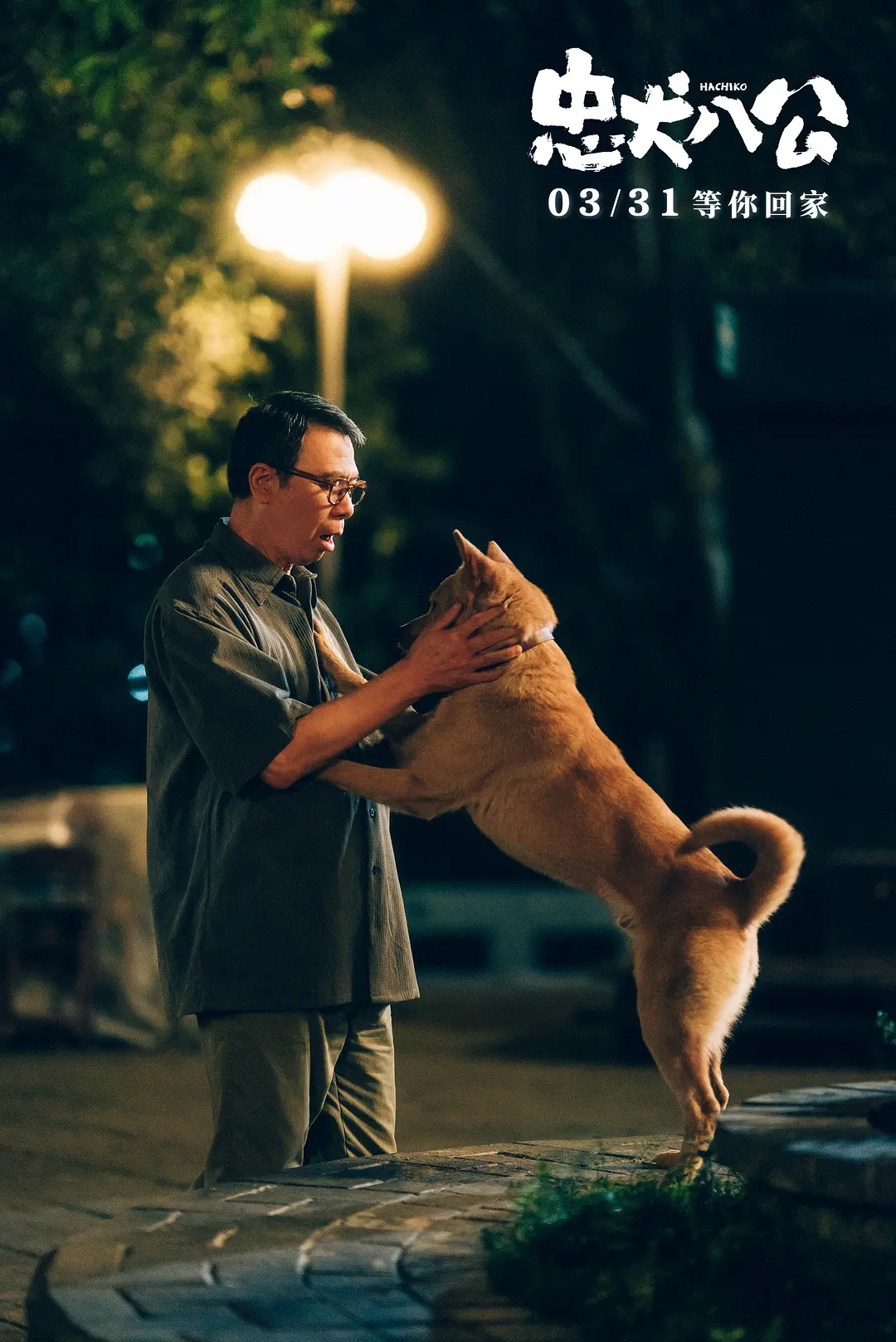 หนัง “Hachiko” เวอร์ชั่นจีน  สนับสนุนให้รับเลี้ยงสุนัขจรจัด 