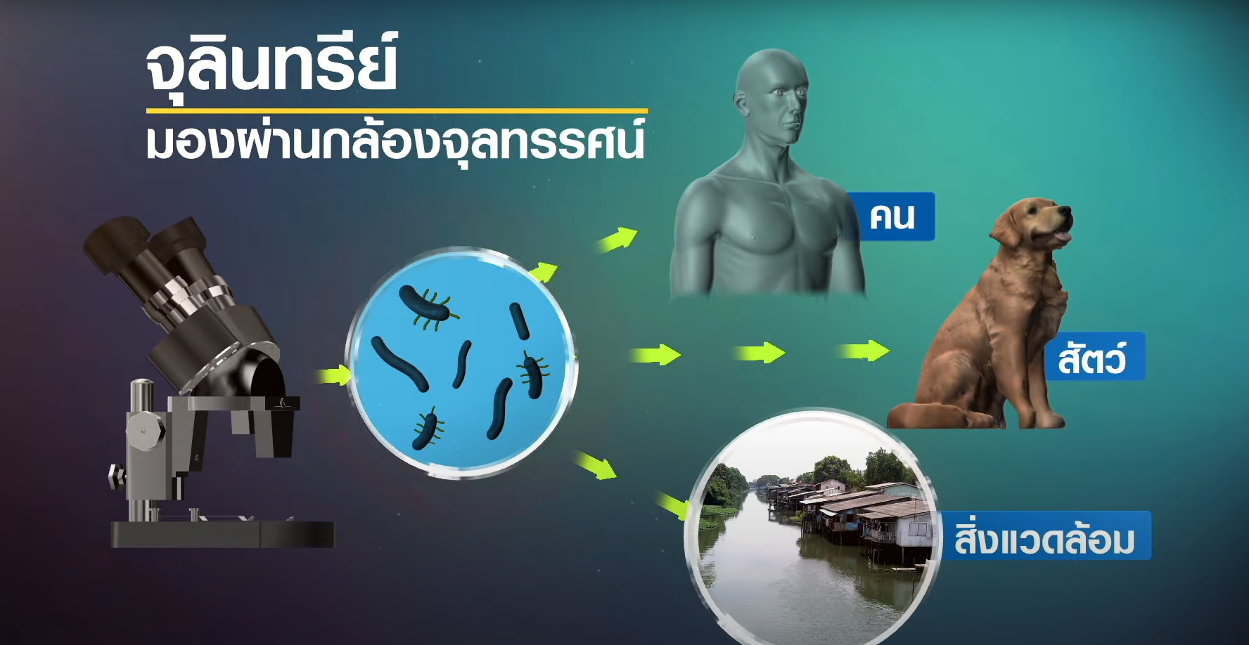 เทคโนโลยีช่วยลดการปล่อยน้ำเสีย I TNN Tech Reports