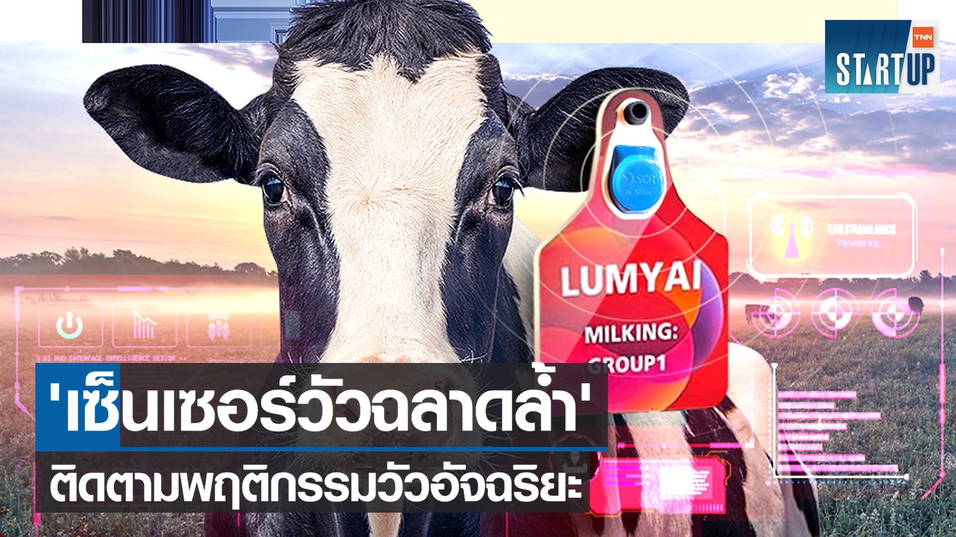 เซ็นเซอร์วัวฉลาดล้ำ  ระบบติดตามพฤติกรรมวัวอัจฉริยะ 