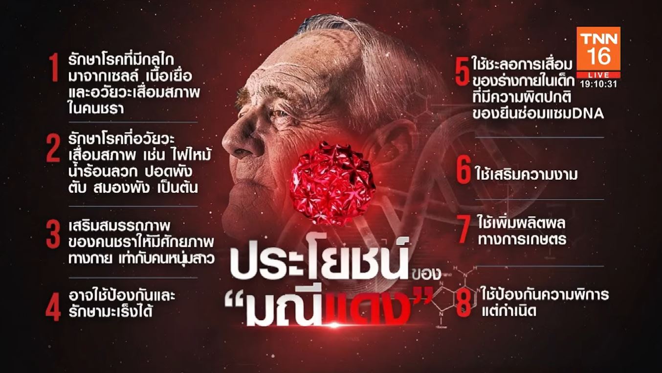 รู้จัก มณีแดง หรือ RED-GEMs ยาต้านความชรา ไทยค้นพบครั้งแรกของโลก!