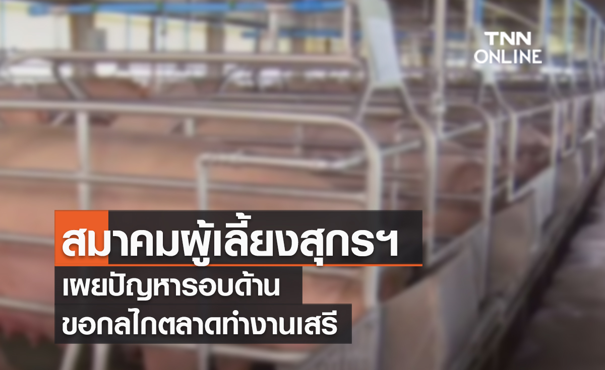 (คลิป) สมาคมผู้เลี้ยงสุกรฯ เผยปัญหารอบด้าน ขอกลไกตลาดทำงานเสรี