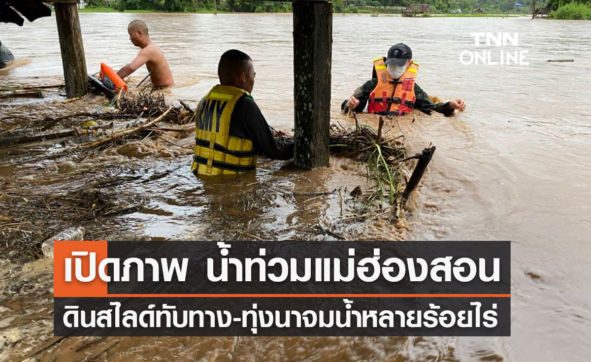 แม่ฮ่องสอน จมบาดาล! เปิดภาพน้ำท่วมหนัก ทุ่งนาจมน้ำหลายร้อยไร่
