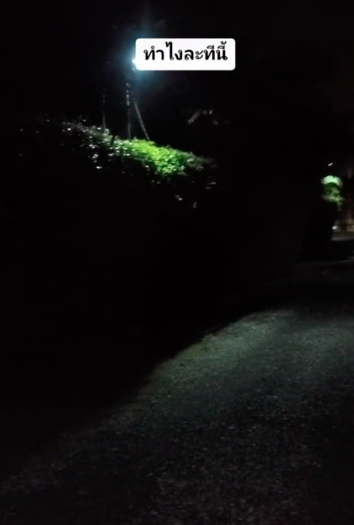 ทำไงละทีนี้!ไรเดอร์หนุ่มมาส่งของเจอลูกค้าชาวต่างชาติปิดประตูไม่ให้ออก ทำไงละทีนี้!ไรเดอร์หนุ่มมาส่งของเจอลูกค้าชาวต่างชาติปิดประตูไม่ให้ออก