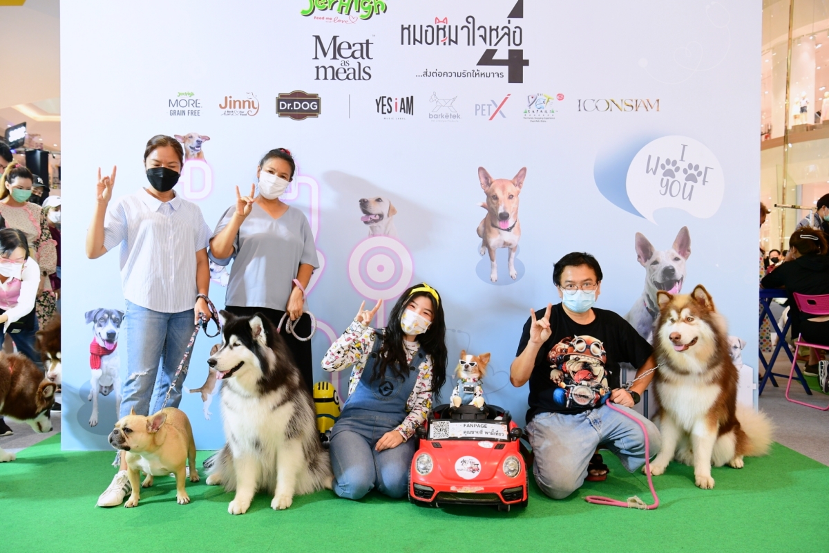 Jerhigh สานต่อ 'หมอหมาใจหล่อ ปี 4' ส่งต่อความรักด้วยอาหารช่วยหมาจร 