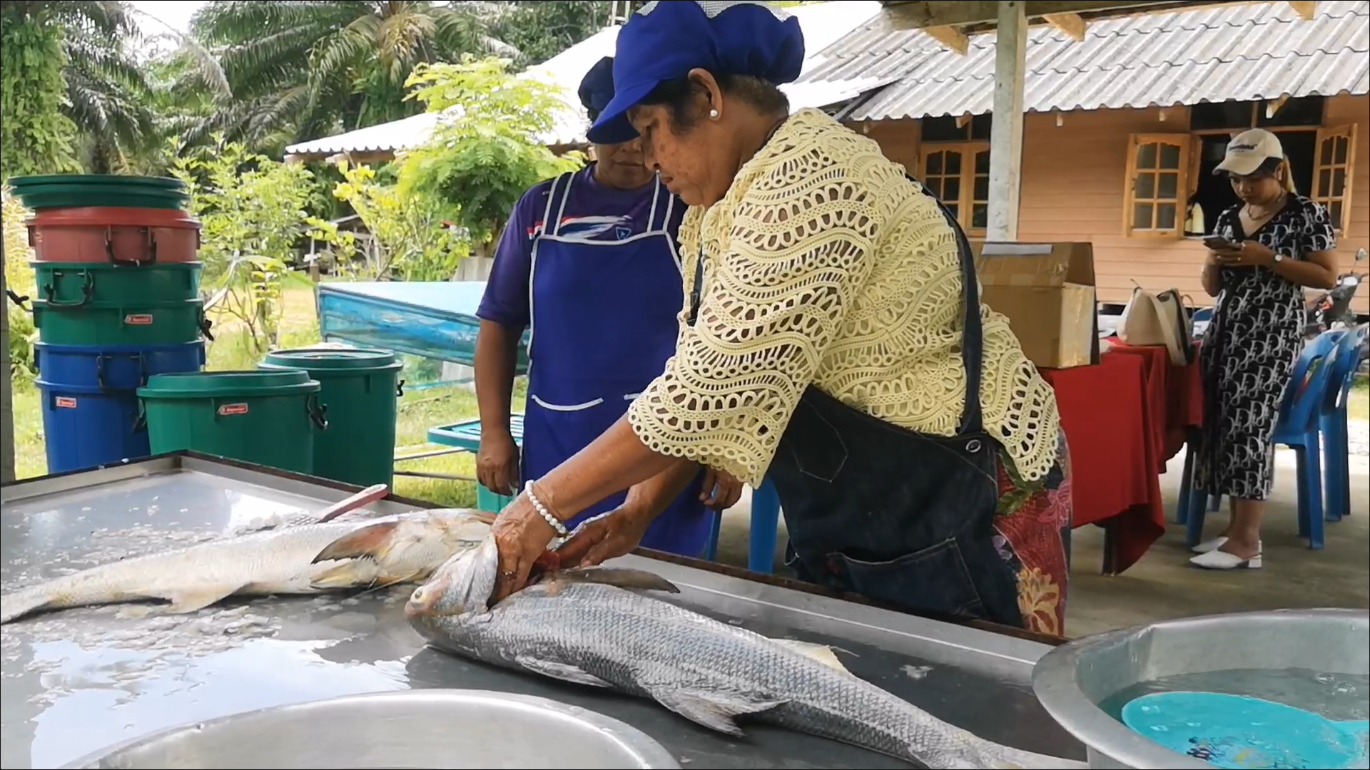 Soft Power กระแส ปลากุเลา แรงต่อเนื่อง ยอดขายพุ่งกว่าร้อยละ 30