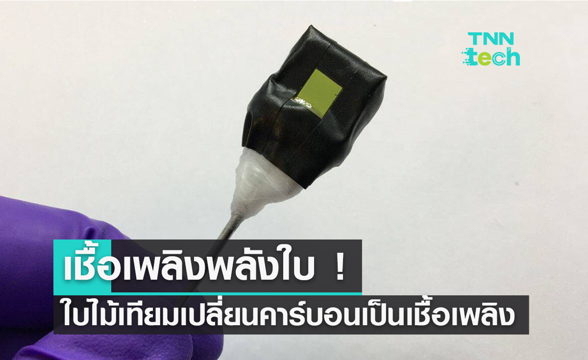 เชื้อเพลิงพลังใบ ! ใบไม้เทียมเปลี่ยนคาร์บอนเป็นเชื้อเพลิง