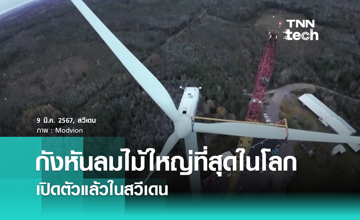 “กังหันลมไม้” ที่ใหญ่ที่สุดในโลก เปิดตัวแล้วในสวีเดน 