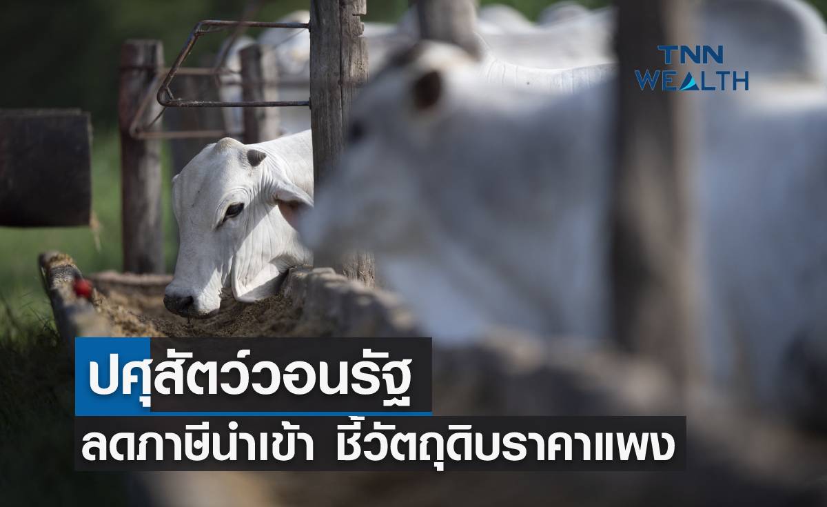 ปศุสัตว์วอนรัฐ ลดภาษีนำเข้า ชี้วัตถุดิบราคาแพงและขาดแคลน