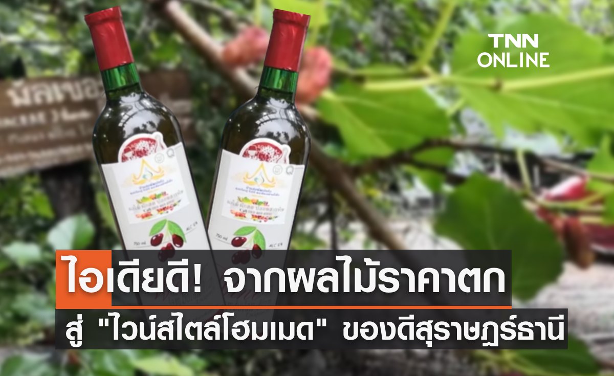 จากผลไม้ราคาตก สู่ "ไวน์สไตล์โฮมเมด" ของดีประจำต.บางเดือน สุราษฎร์ธานี