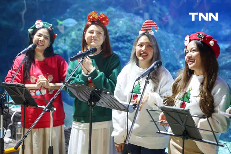 ซานต้าให้อาหารฉลาม ร่วมต้อนรับเทศกาล “คริสต์มาส” ซานต้าให้อาหารฉลาม ร่วมต้อนรับเทศกาล “คริสต์มาส”