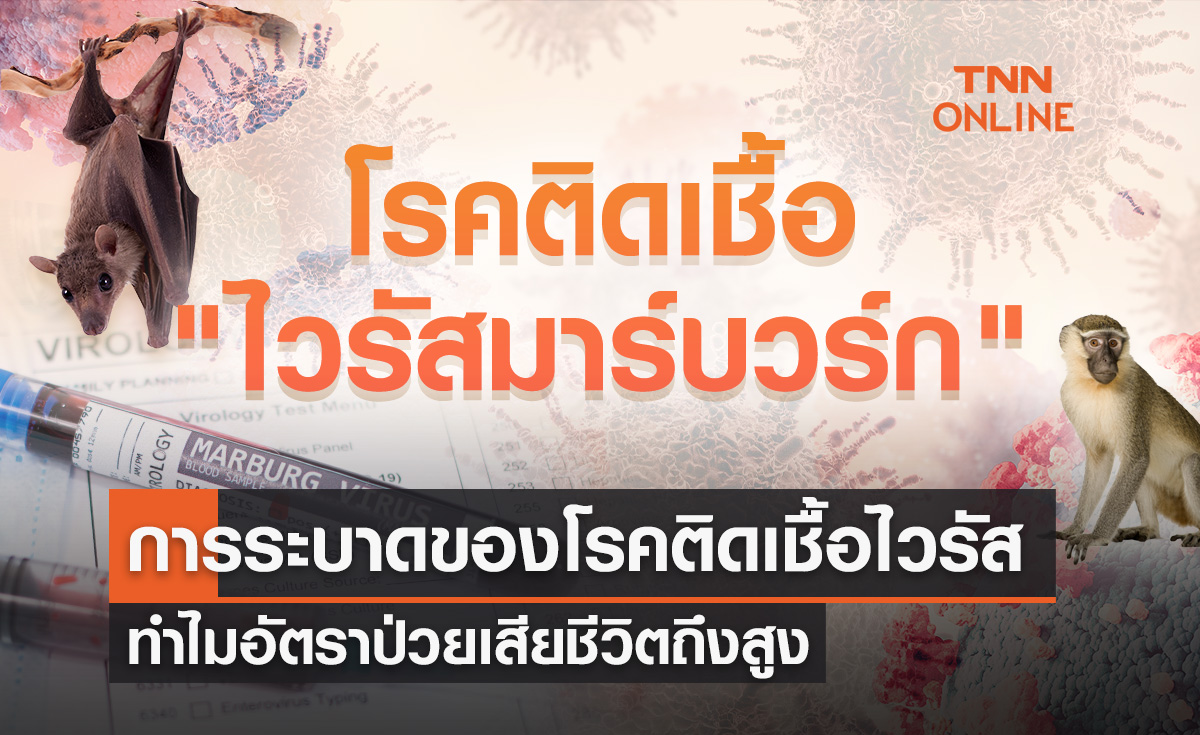  "ไวรัสมาร์บวร์ก" อันตรายมากแค่ไหน