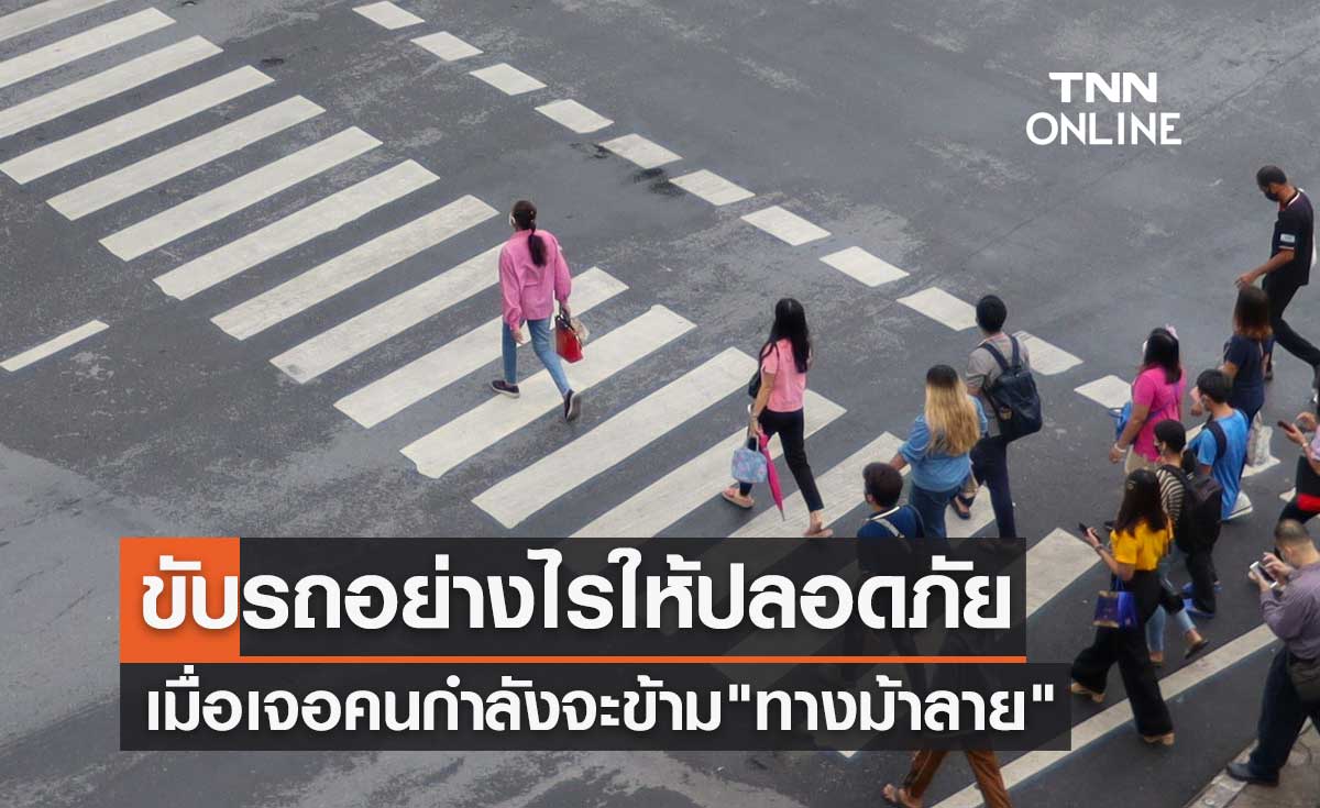 กางกฎหมายขับรถอย่างไรให้ปลอดภัย เมื่อเจอคนกำลังจะข้าม "ทางม้าลาย"