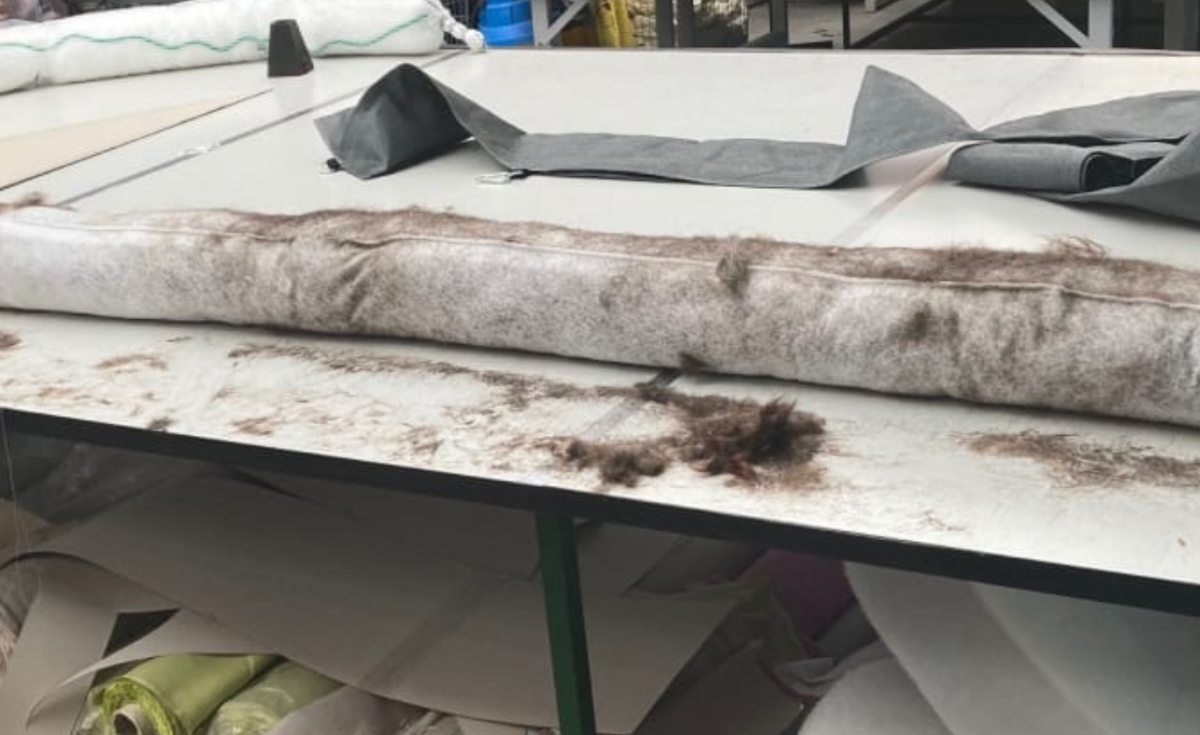 นักวิจัยเบลเยียมพบเส้นผมมนุษย์สามารถดูดซับมลพิษได้ นักวิจัยเบลเยียมพบเส้นผมมนุษย์สามารถดูดซับมลพิษได้