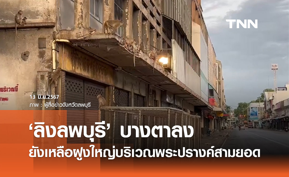 ลพบุรีเปลี่ยนไป! หลายจุด "ลิง" บางตาลดน้อยลง ถูกจับไปแล้วกว่า 1,000 ตัว 