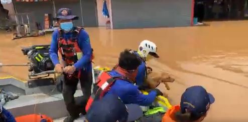 เล็ก ฝันเด่น รุดช่วยสุนัขลอยน้ำ!! หลังลงพื้นที่ช่วยน้ำท่วม