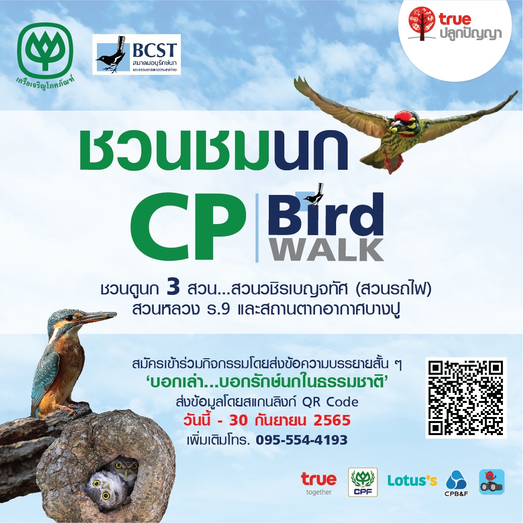 เครือเจริญโภคภัณฑ์จับมือสมาคมอนุรักษ์นกและธรรมชาติ ฯ ชวนชมนก ‘CP Bird Walk’ ตลอดเดือนตุลาคม - ธันวาคม 2565