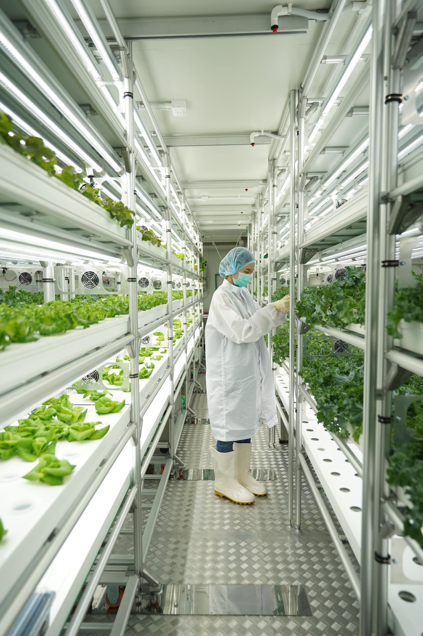 เฟล็กซี่ฟาร์ม (FlexiFarm) ฟาร์มปลูกผักในคอนเทนเนอร์ เฟล็กซี่ฟาร์ม (FlexiFarm) ฟาร์มปลูกผักในคอนเทนเนอร์
