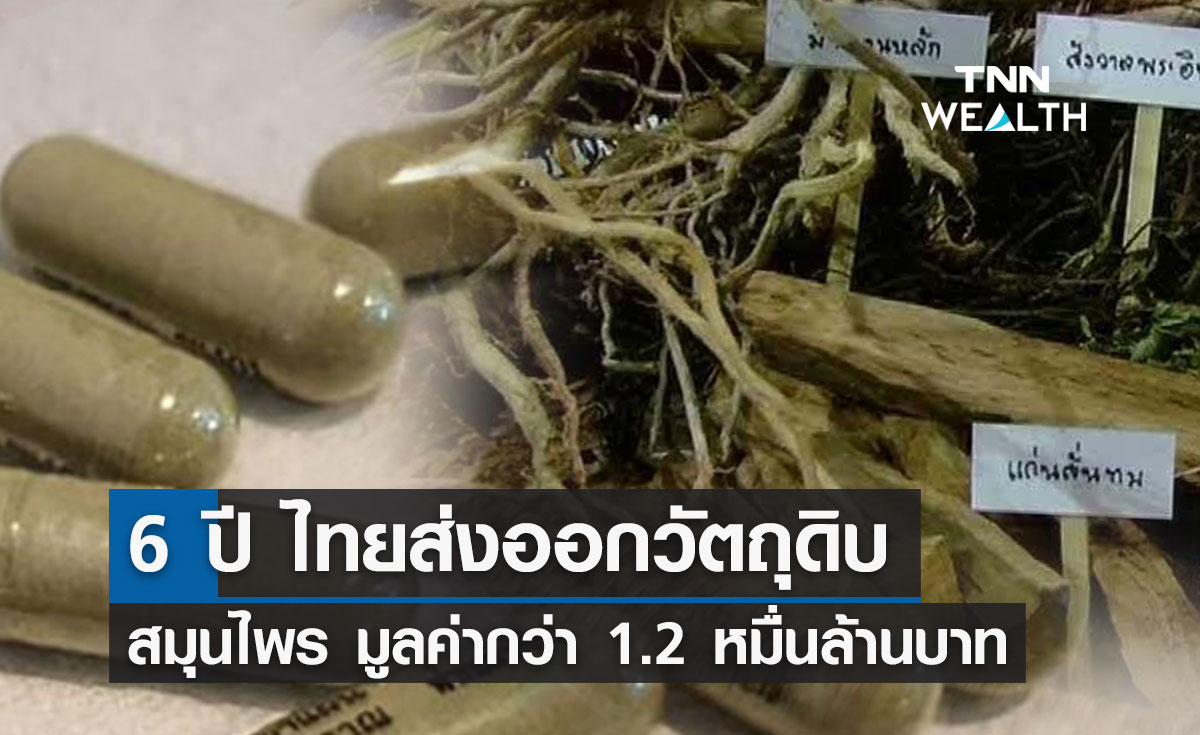 เปิดข้อมูลความสำเร็จ ไทยส่งออกวัตถุดิบ-สมุนไพร 6 ปี กว่า 1.2 หมื่นล้านบาท