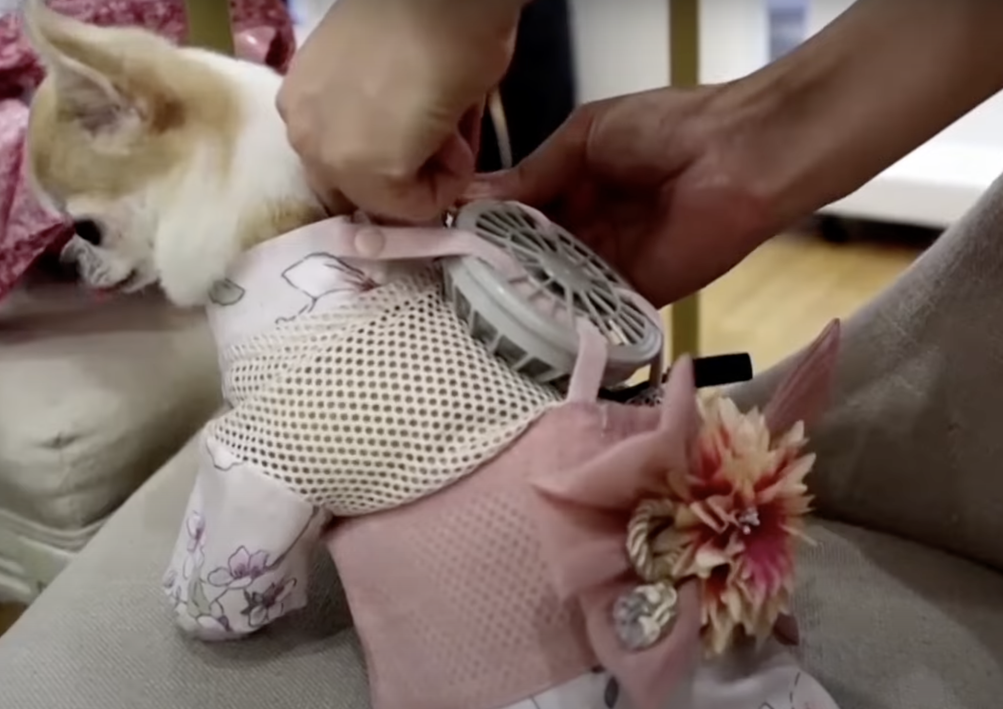 ตัวช่วยเลี้ยงสัตว์ยุคใหม่ด้วยเทคโนโลยี ตัวช่วยเลี้ยงสัตว์ยุคใหม่ด้วยเทคโนโลยี