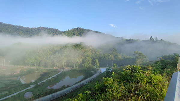 10 ที่เที่ยวนราธิวาส 2565 ถิ่นปลายด้ามขวาน จังหวัดเด็ดที่ต้องไปเยือน