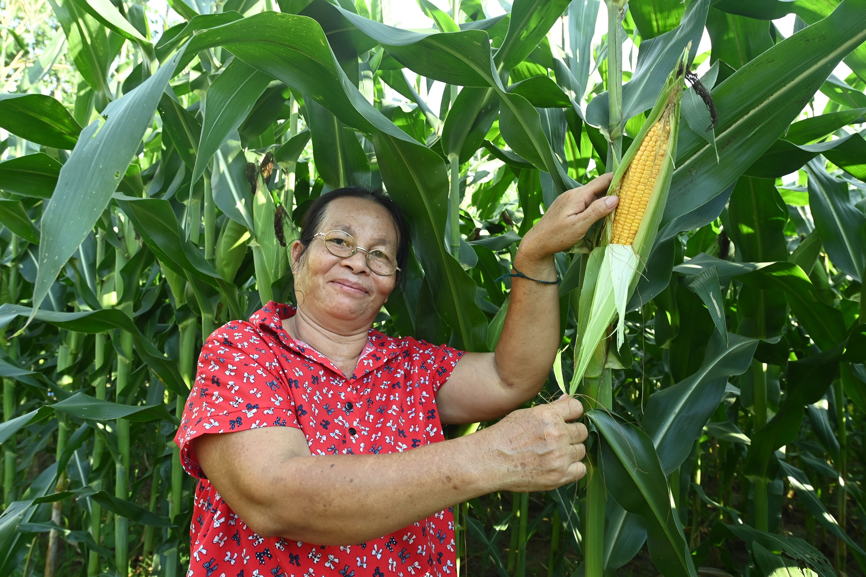 ปันน้ำปุ๋ย จากฟาร์มสุกรซีพีเอฟ ดูแลเกษตรกรสู้ภัยแล้ง ด้วยหลักเศรษฐกิจหมุนเวียน