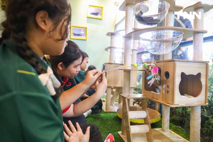 กทม.ชวนหาบ้านให้น้องแมว พบป่ะคนรักสัตว์ในงาน BKK EXPO 2024 กทม.ชวนหาบ้านให้น้องแมว พบป่ะคนรักสัตว์ในงาน BKK EXPO 2024