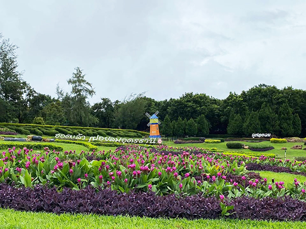 15 ที่เที่ยวอุดรธานี 2565 เที่ยวเมืองศักดิ์สิทธิ์ ถิ่นพญานาค