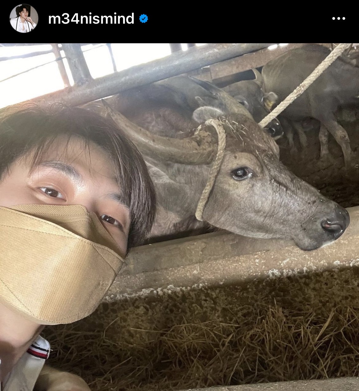 มีน พีรวิชญ์ และ ครอบครัว ทำบุญวันเกิดไถ่ชีวิตกระบือ มีน พีรวิชญ์ และ ครอบครัว ทำบุญวันเกิดไถ่ชีวิตกระบือ